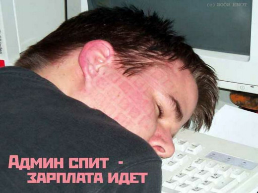 166868 (a): :1024x768